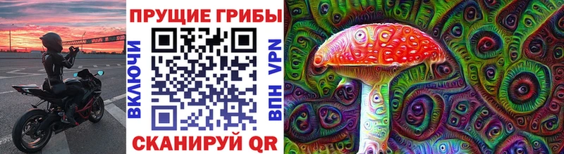 OMG   Чехов  Галлюциногенные грибы мицелий 